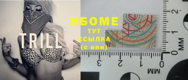 ПСИЛОЦИБИНОВЫЕ ГРИБЫ Богданович