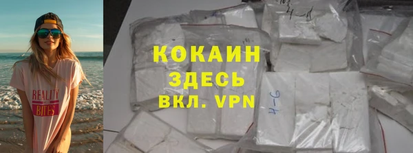 ПСИЛОЦИБИНОВЫЕ ГРИБЫ Богданович