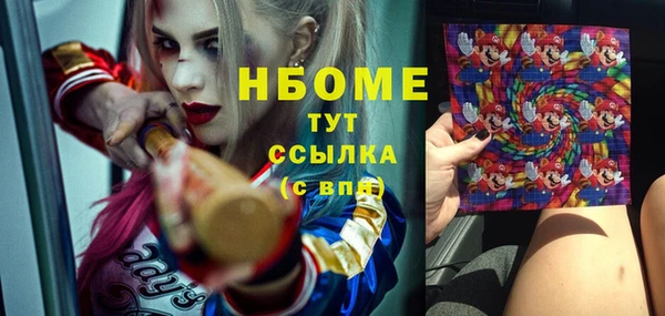 ПСИЛОЦИБИНОВЫЕ ГРИБЫ Богданович