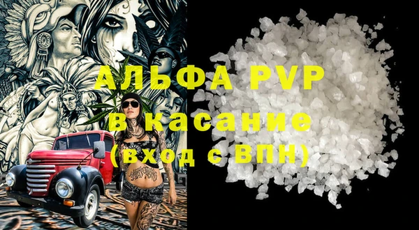 ПСИЛОЦИБИНОВЫЕ ГРИБЫ Богданович