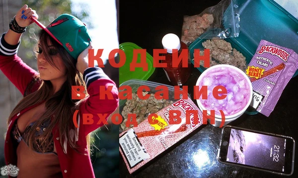 ПСИЛОЦИБИНОВЫЕ ГРИБЫ Богданович